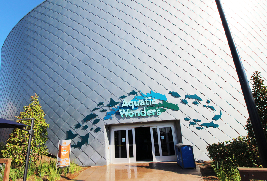 Mississippi Aquarium commerical roofing project